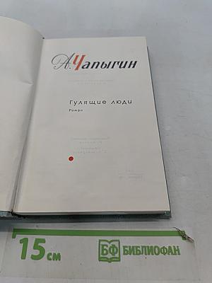 Гулящие люди. Роман