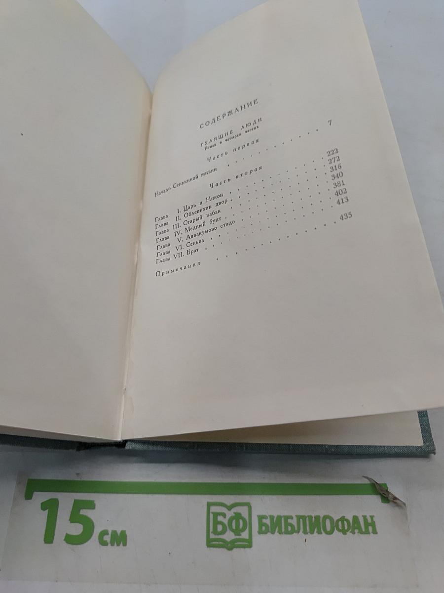 Гулящие люди. Роман