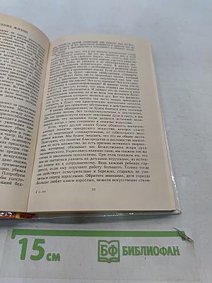 Держава света. Священный дозор