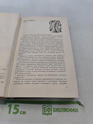 Запонь