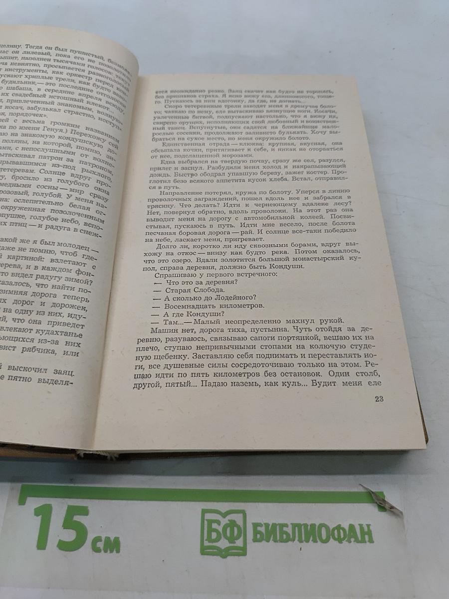 Запонь