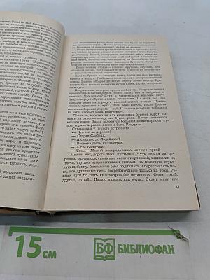 Запонь