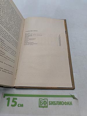 Запонь
