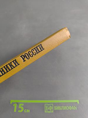 Разбойники России