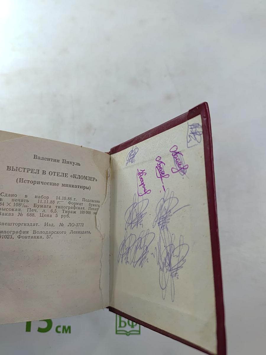 Выстрел в отеле «Кломзер»