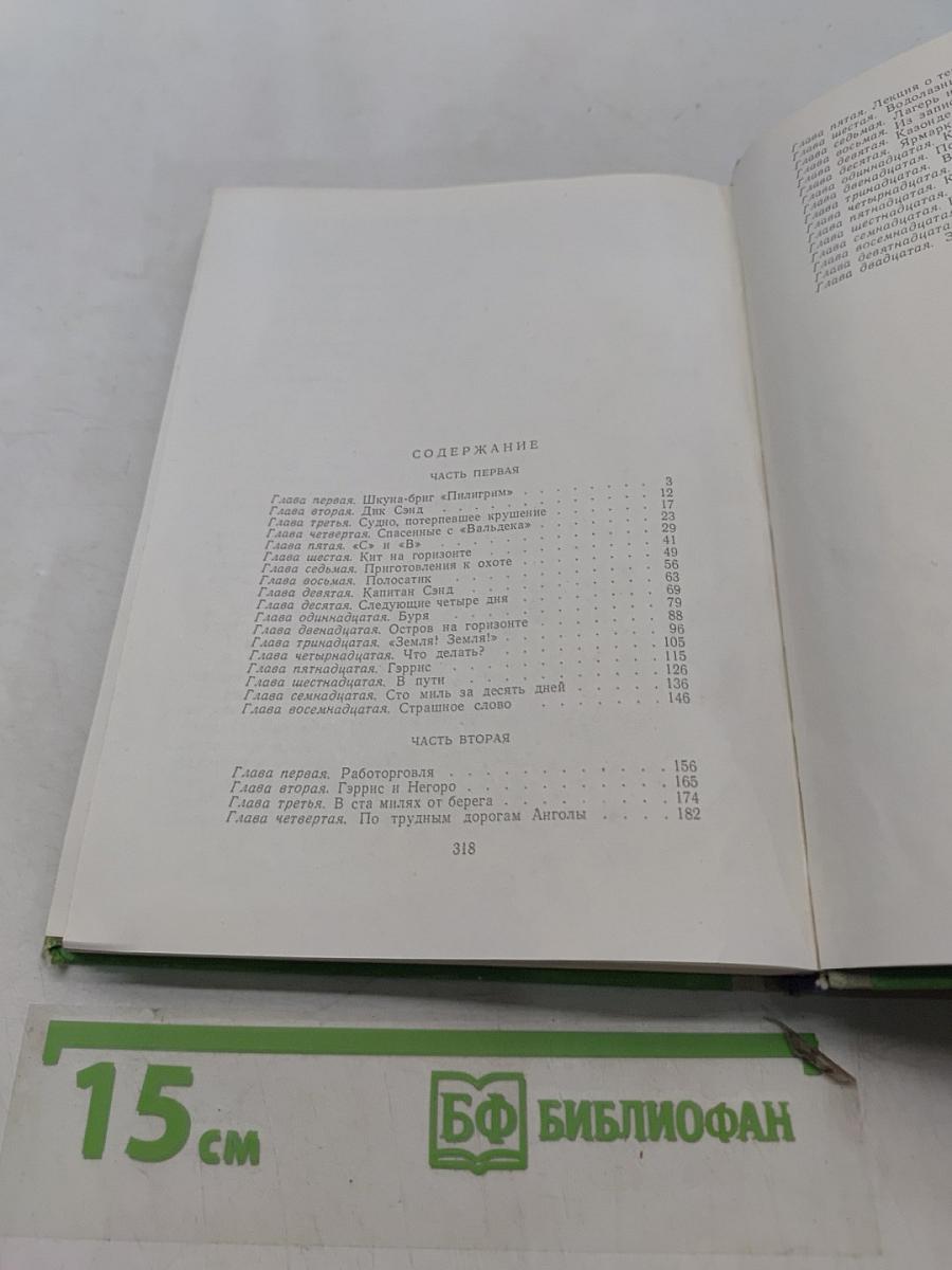Пятнадцатилетний капитан