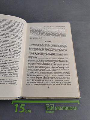 Отчаянное путешествие