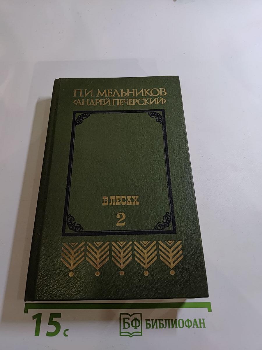 В лесах. Книга вторая