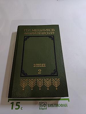 В лесах. Книга вторая