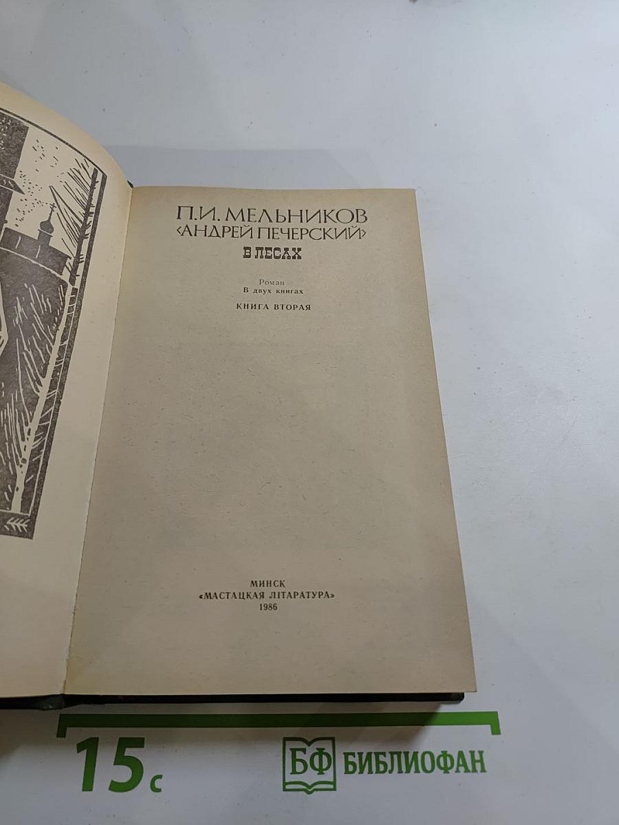 В лесах. Книга вторая