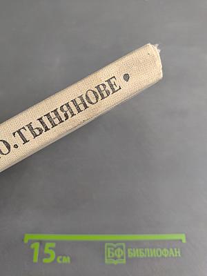 Воспоминания о Ю. Тынянове