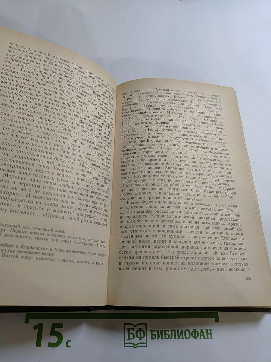 В лесах. Книга вторая
