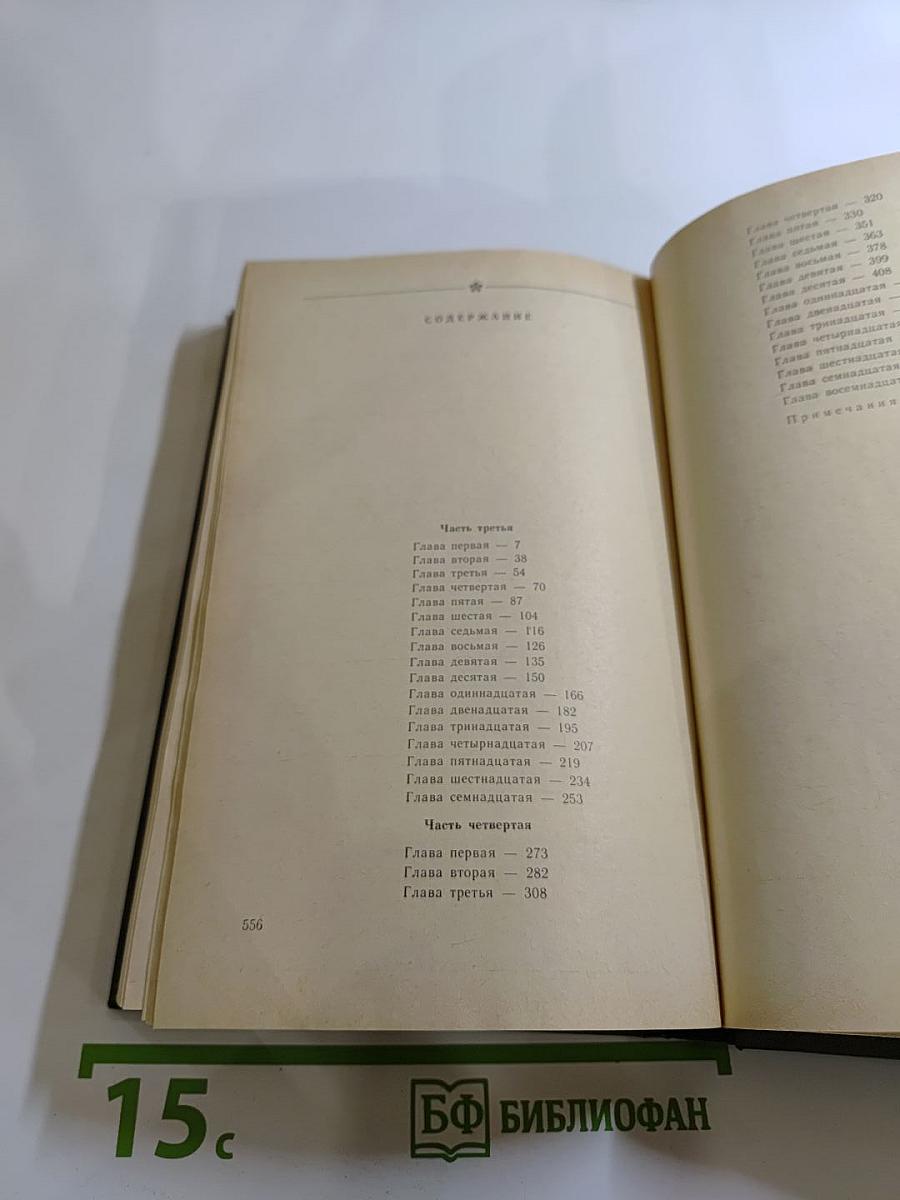 В лесах. Книга вторая