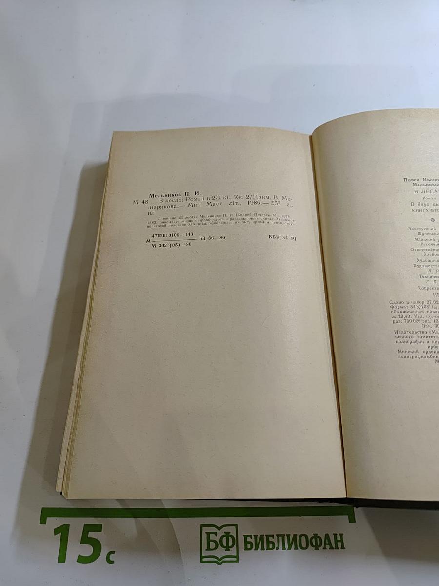 В лесах. Книга вторая