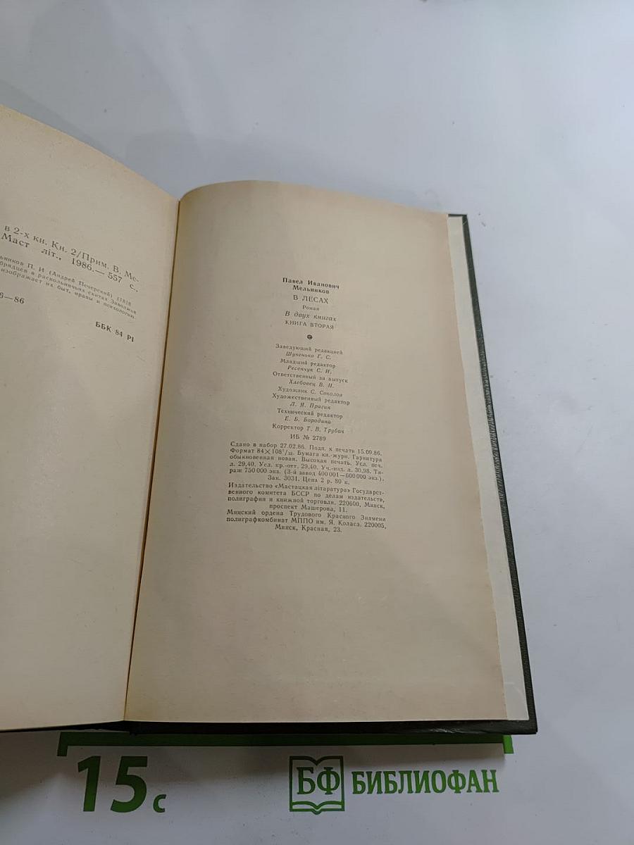 В лесах. Книга вторая