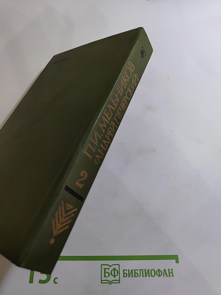 В лесах. Книга вторая