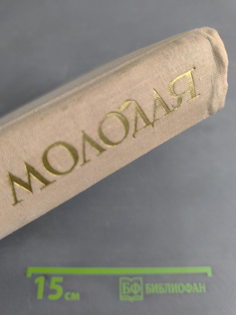 Россия молодая