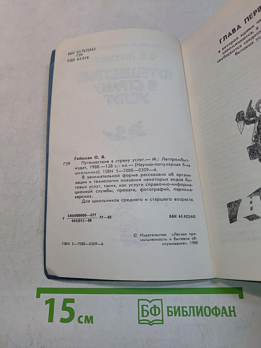 Путешествие в страну услуг