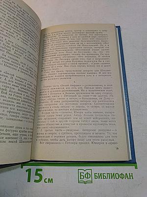 Михаил Булгаков. Биография писателя