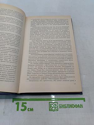 Гардемарины, вперед! Роман второй. Свадьба в Петербурге