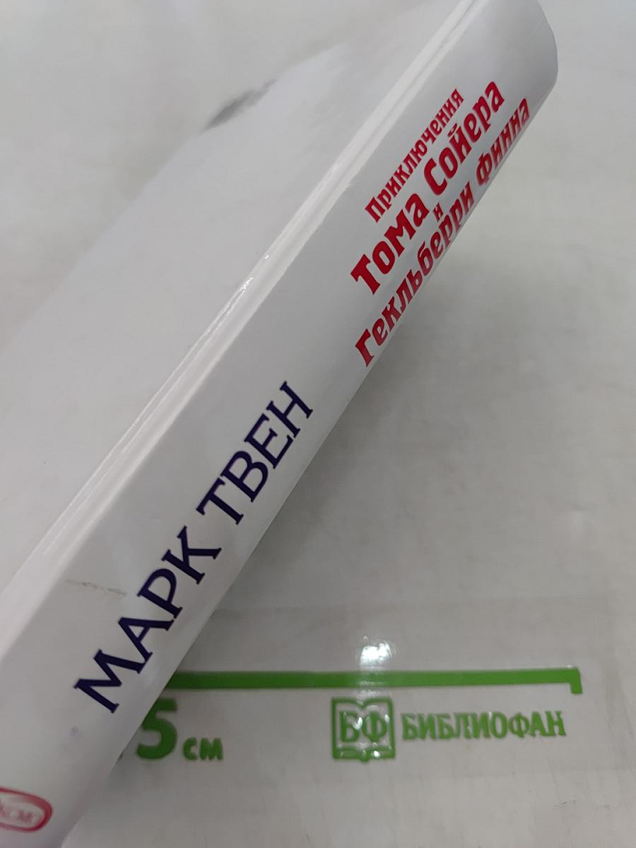 Приключения Тома Сойера и Гекльберри Финна