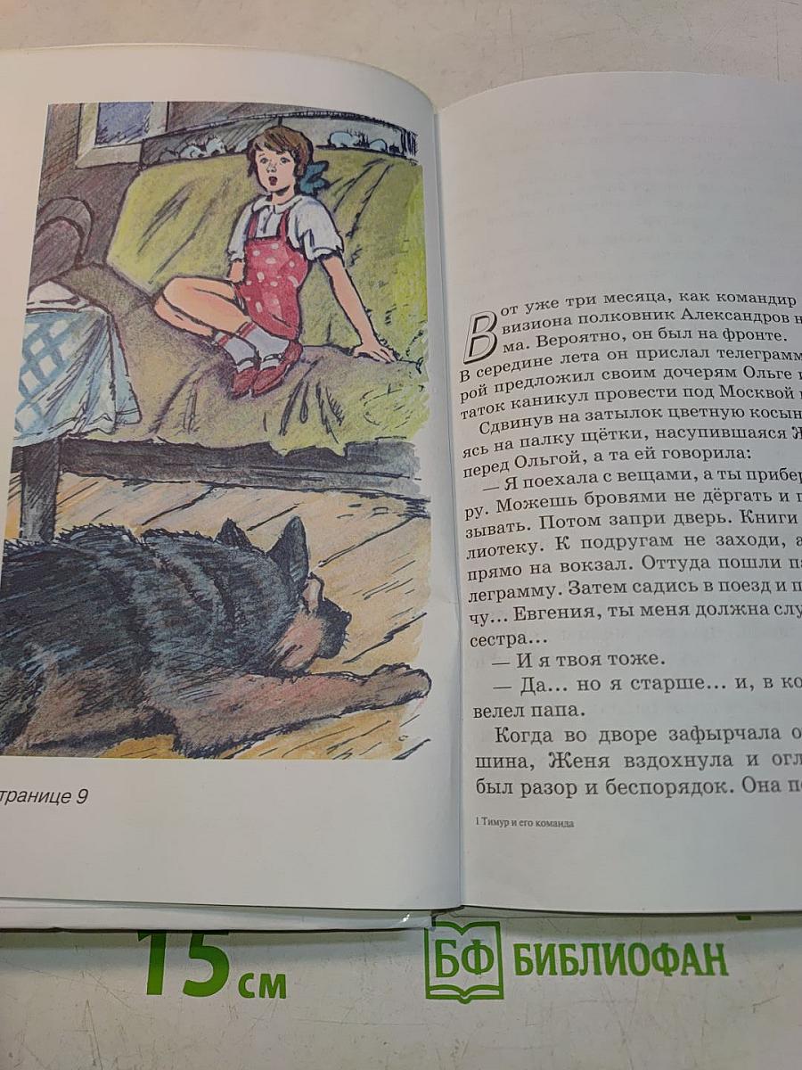 Тимур и его команда