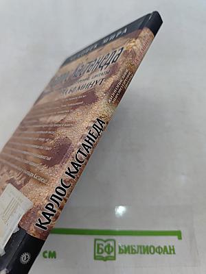 Карлос Кастанеда. Жизнеописание, мировоззрение, цитаты за 60 минут