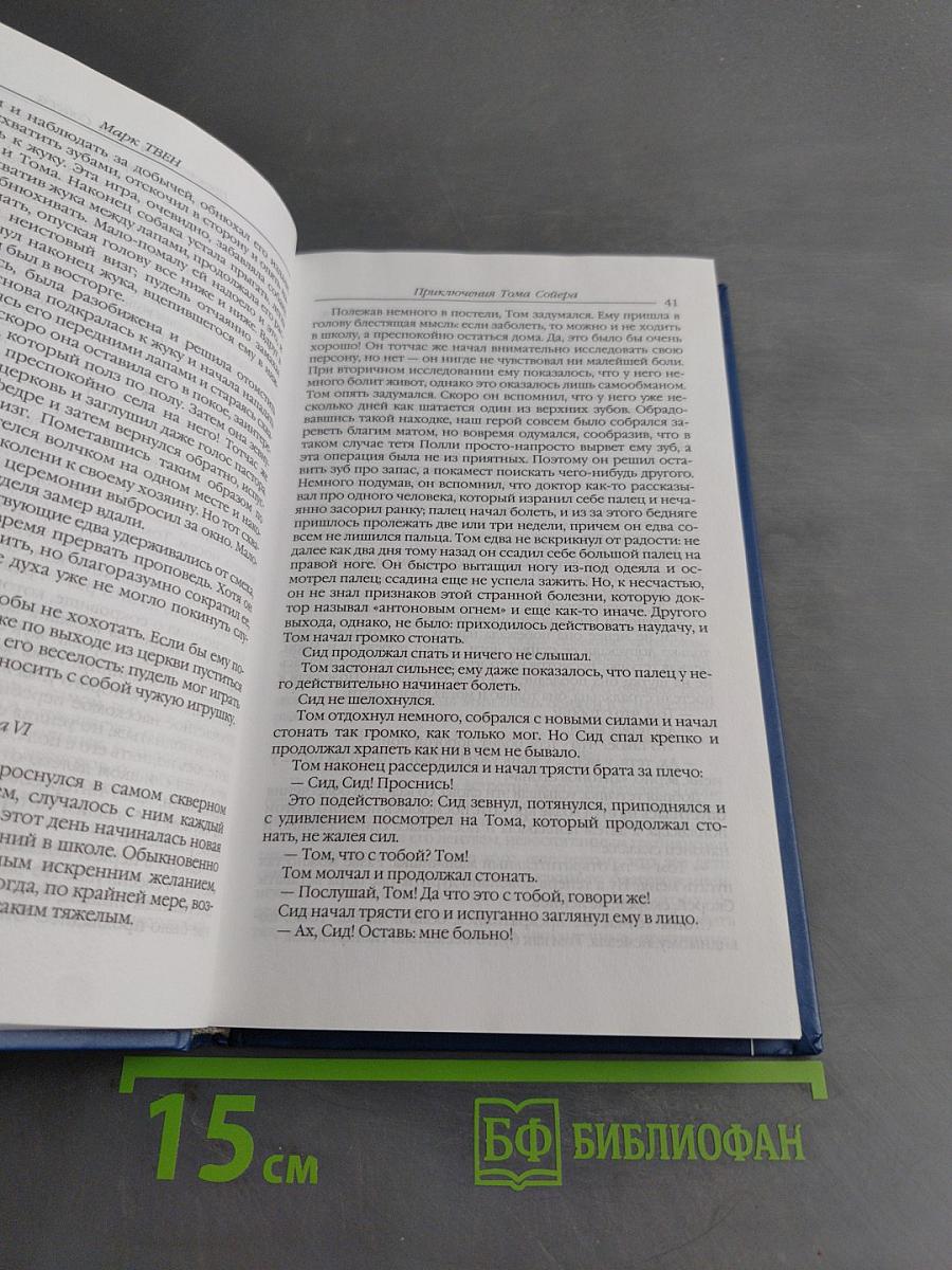 Приключения Тома Сойера. Приключения Гекльберри Финна