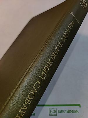 Малый толковый словарь русского языка