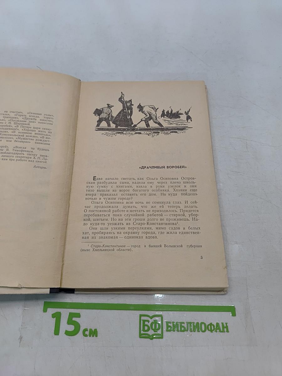 Величие подвига Николая Островского
