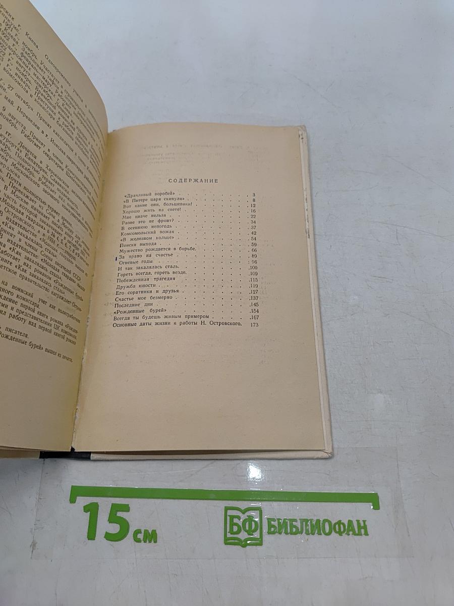 Величие подвига Николая Островского