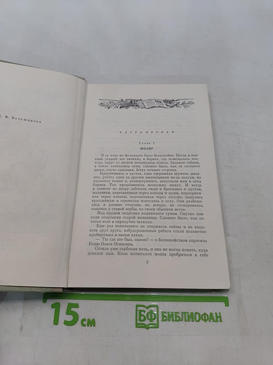 Жизнь Николая Островского