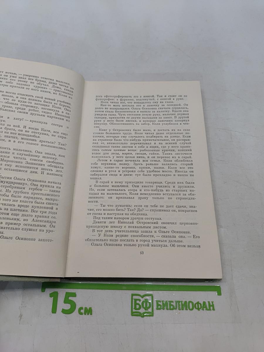 Жизнь Николая Островского