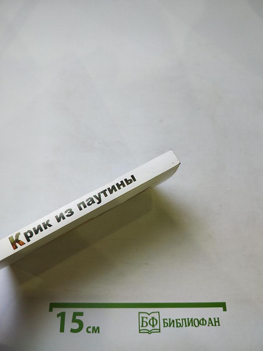 Крик из паутины