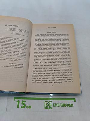 Всё о вашей кошке
