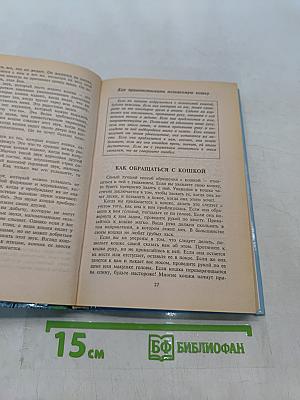 Всё о вашей кошке
