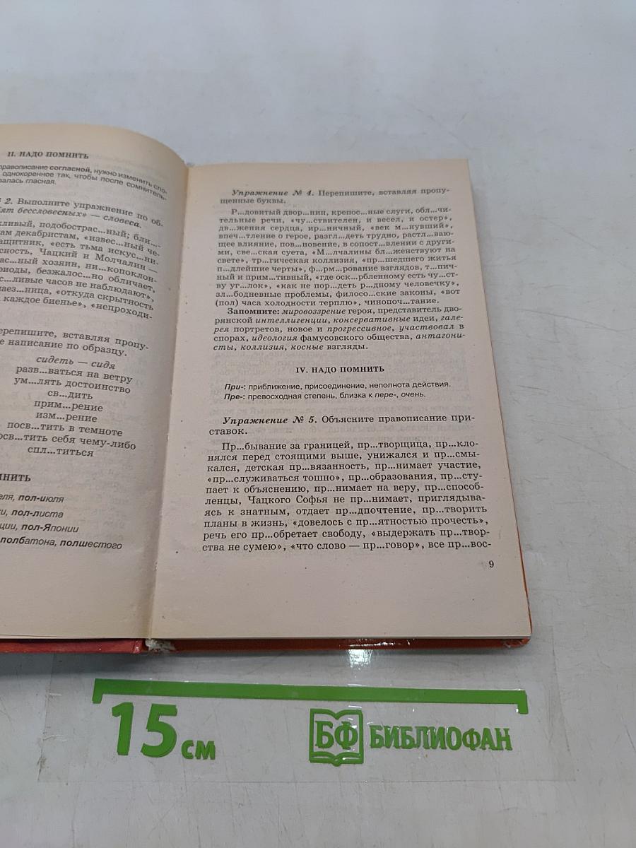Литература XIX века на уроках русского языка