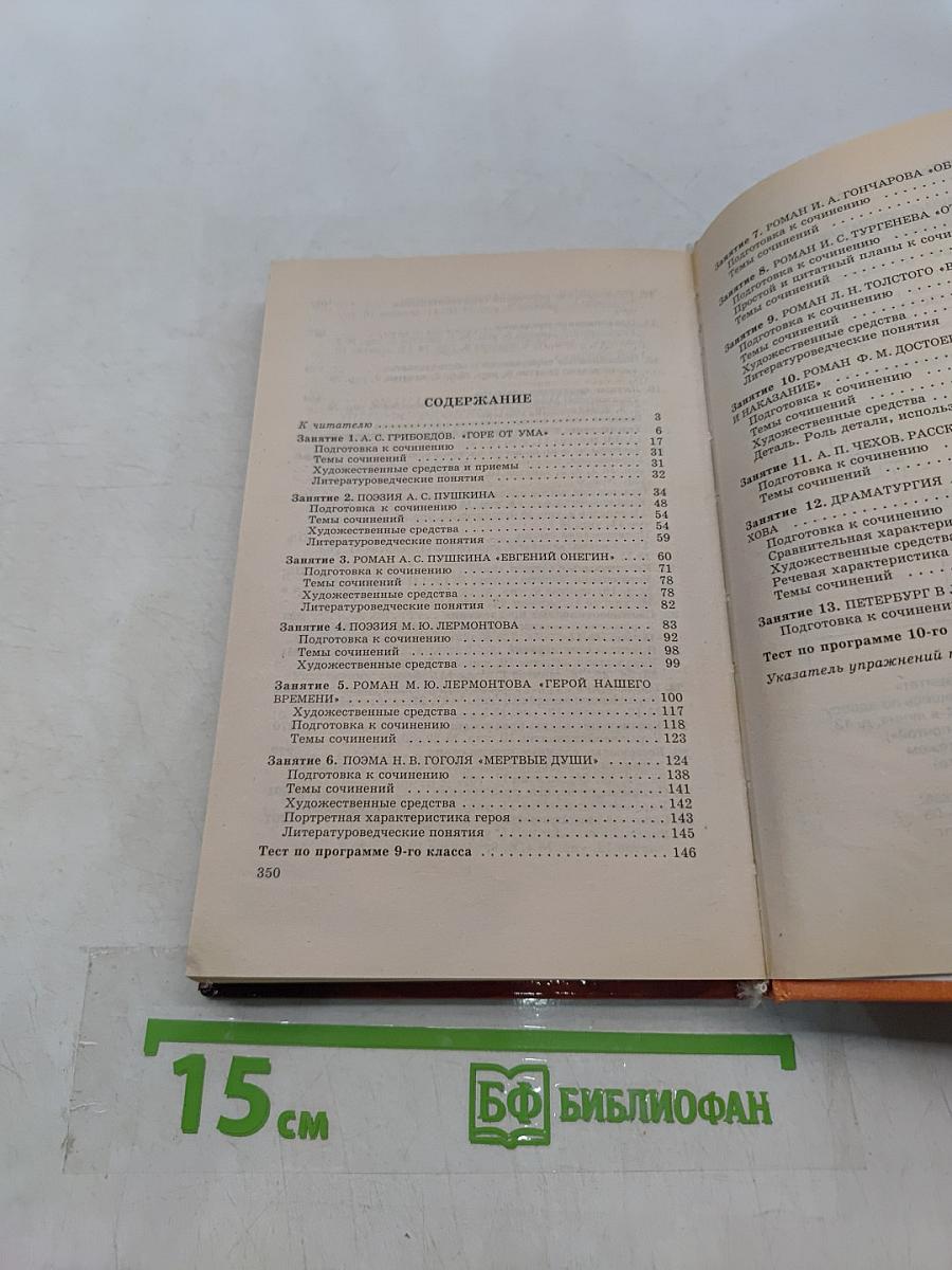 Литература XIX века на уроках русского языка