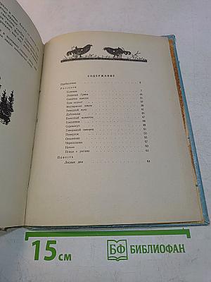 Лесные дни