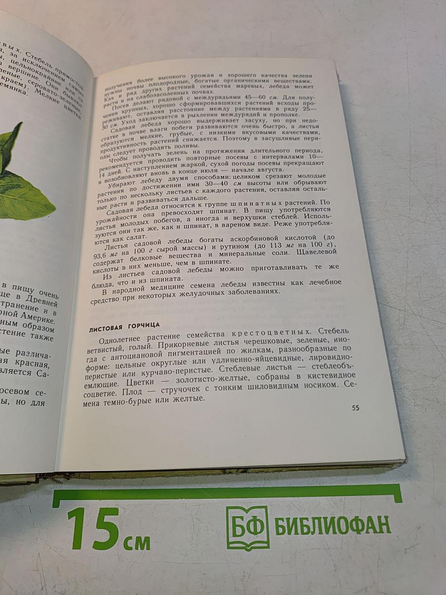 Овощи – родник здоровья
