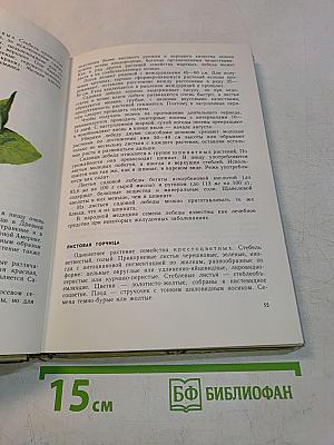 Овощи – родник здоровья