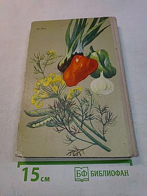 Овощи – родник здоровья