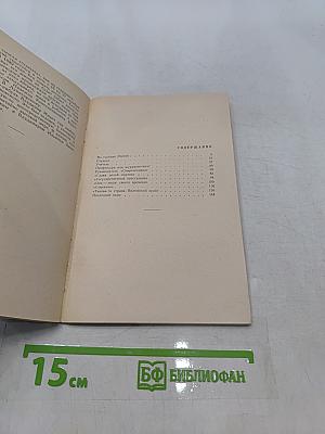 Николай Гаврилович Чернышевский. Биография. Пособие для учащихся