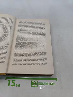 Венгерский набоб