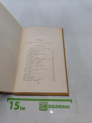 Венгерский набоб