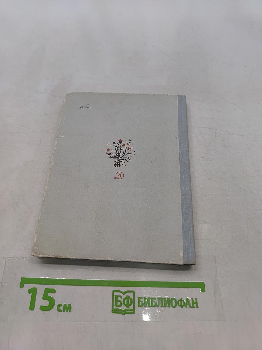 Полдень