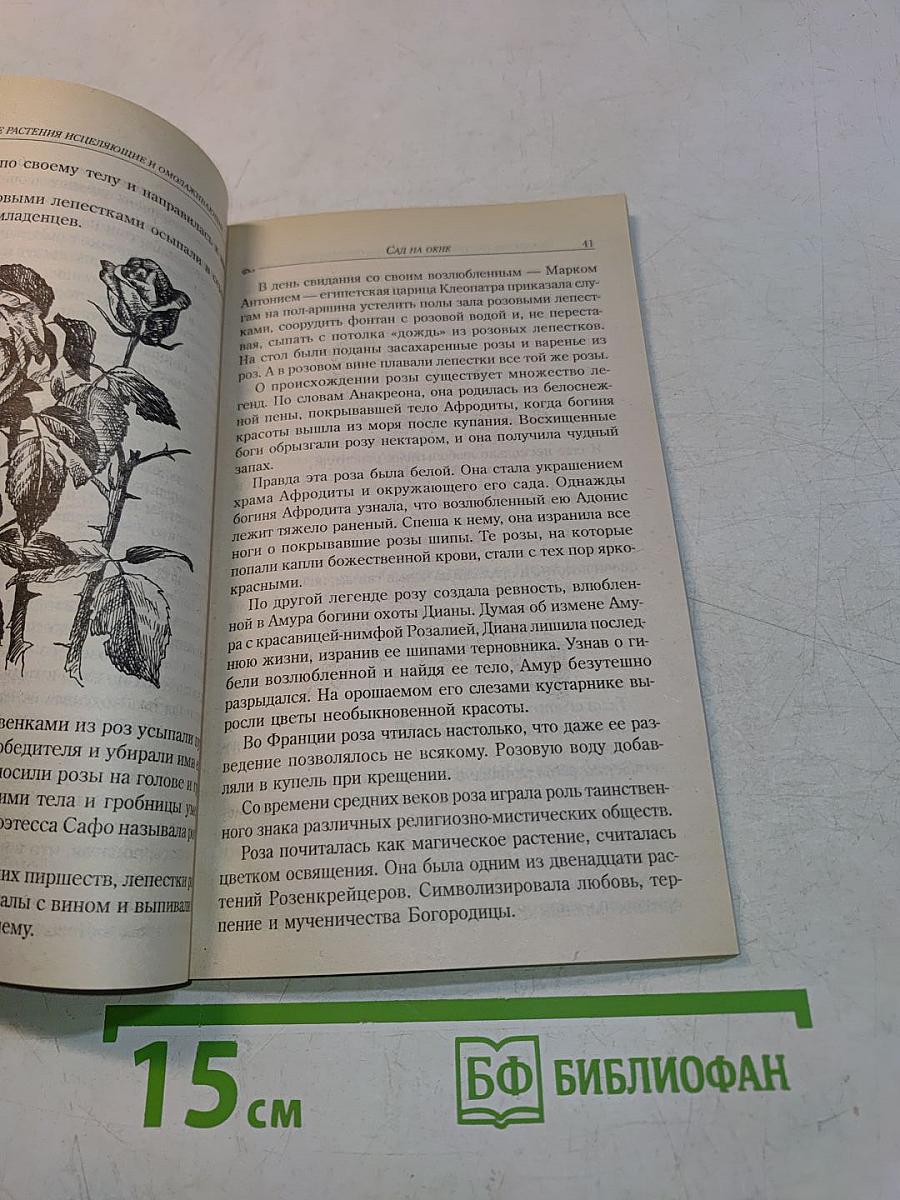 Комнатные растения исцеляющие и омолаживающие