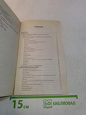 Комнатные растения исцеляющие и омолаживающие