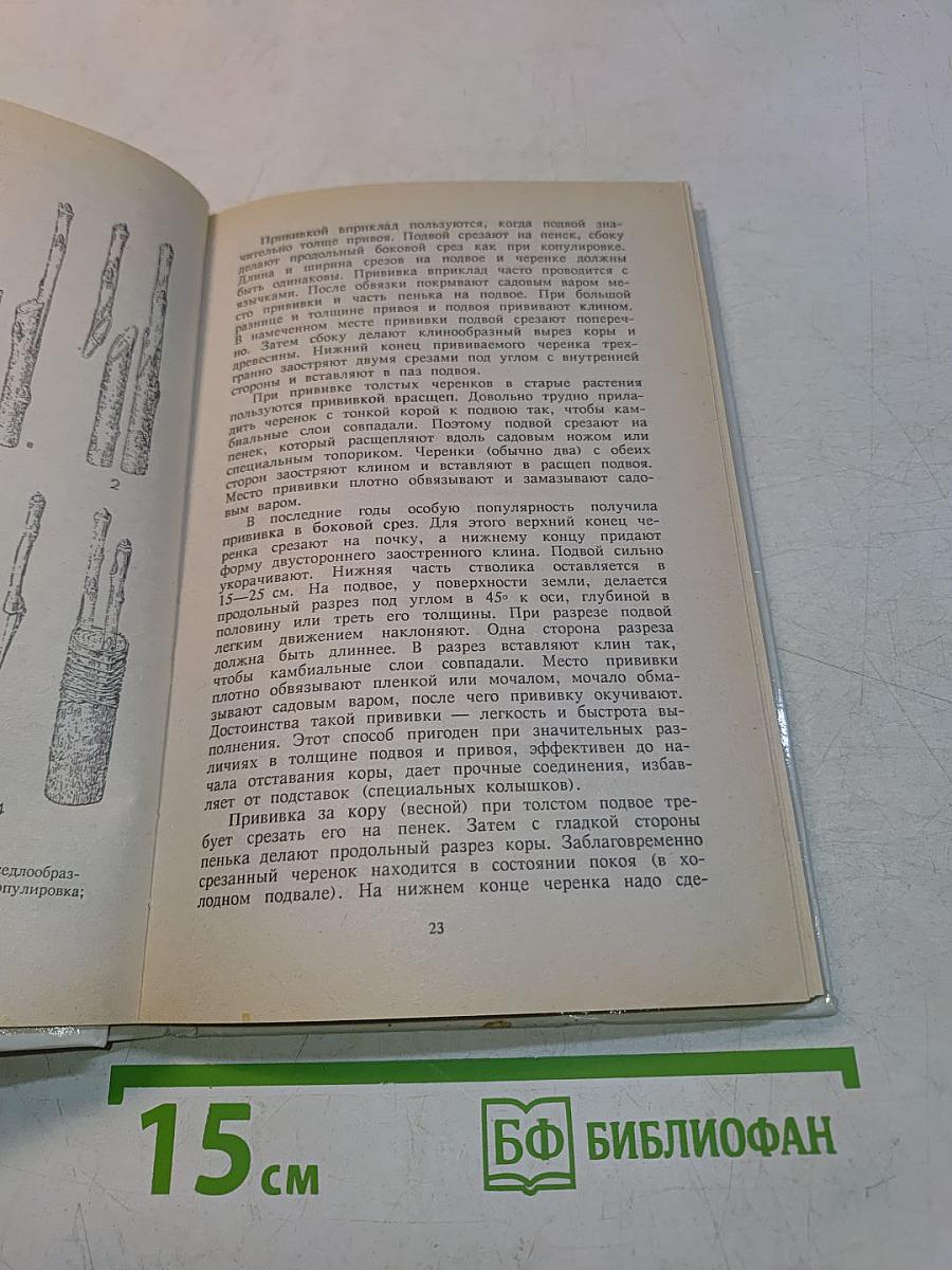 Секреты целебного сада