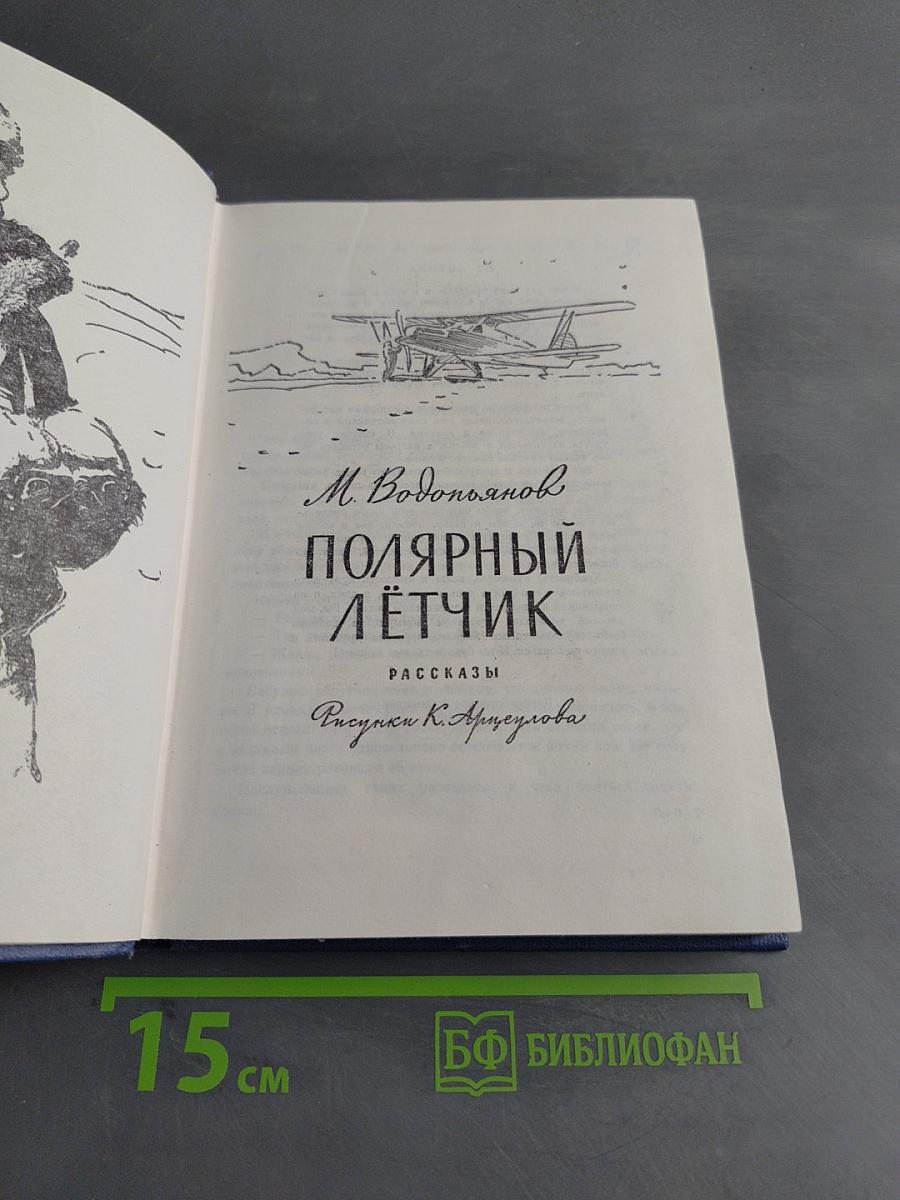 Полярный летчик